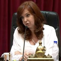 Insólito: CFK tuvo un picante cruce con Lousteau porque una senadora "se olvidó la contraseña"