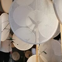 Exponen en Puebla "Mundo Colibrí, un regalo de las Américas"