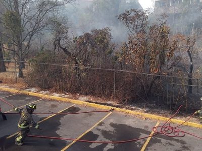 Incendio de pasto seco y hojarasca junto al Universum de CU; ya fue controlado