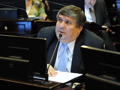 Grieta en el Frente de Todos: para Mayans, “la Constitución está a favor de la vida” y no del aborto