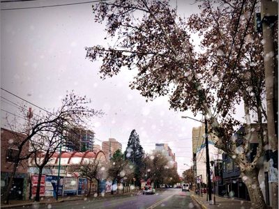 Increíble nevada: Neuquén capital se cubre de blanco