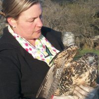 La Red de Rescate Fauna Silvestre busca colaboradores en Junín y San Martín de los Andes