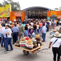 Actividades del último día de la Cumbre Tajín fueron canceladas por el Covid-19
