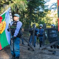 Conflicto territorial en Villa La Angostura: el Lof Paicil Antriao reclama tierras ancestrales avaladas por la provincia
