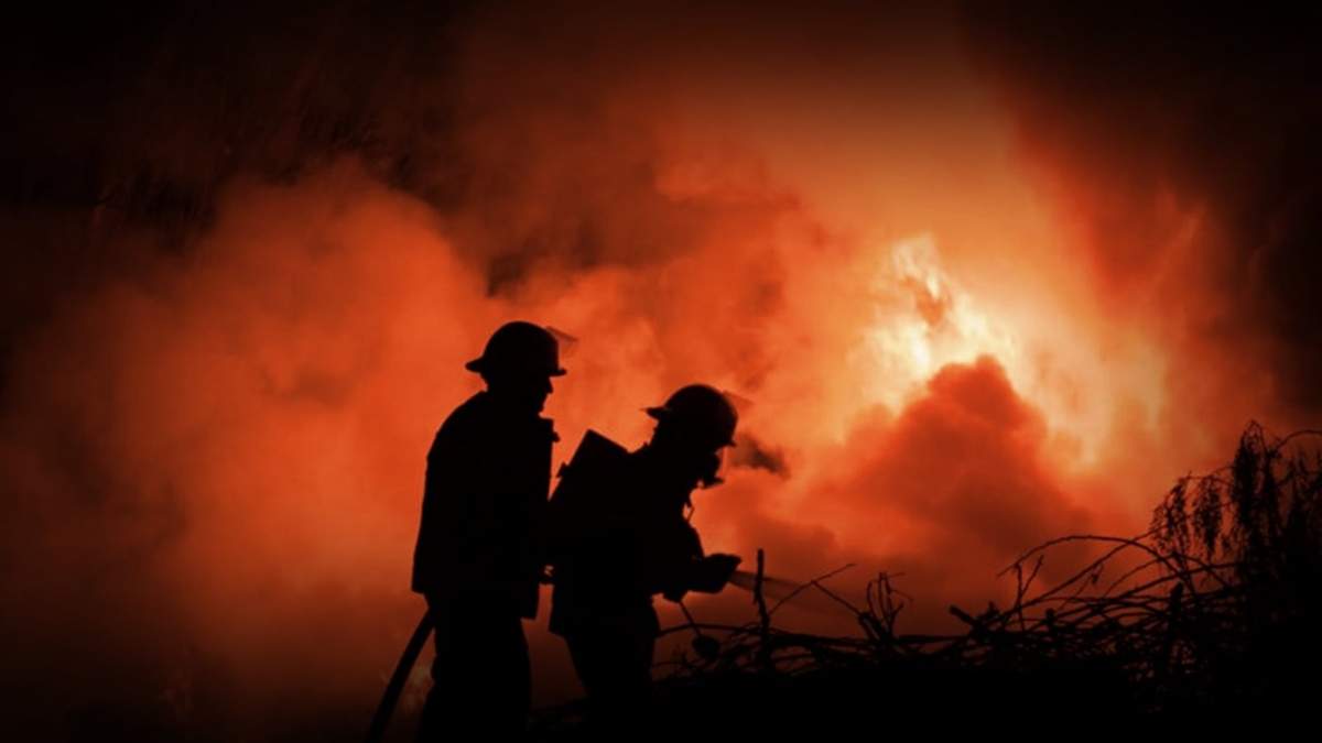 Ola de incendios intencionales en Centenario. Fuente: (Twitter)