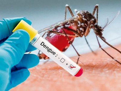 Grave: fallecieron una mujer y un hombre por sarampión y dengue, respectivamente