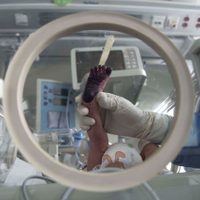Es probable que la fecundidad disminuya a raíz de la pandemia, según un nuevo estudio