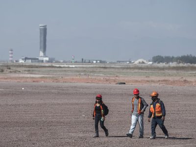 Por control de plagas, sacrificarán perros y gatos que viven en inmediaciones del AIFA