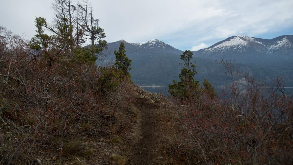 El sendero "Andrés Quinteros" en San Carlos de Bariloche. Fuente: (Twitter)