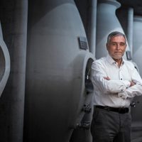 El fallo Zuccardi y el realismo jurídico