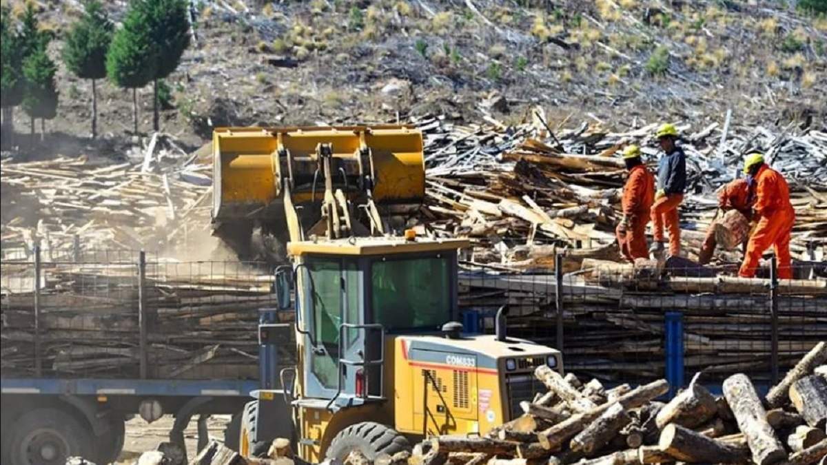 Este año el Operativo Leña comenzó en el mes de febrero. Fuente: (Gobierno de Neuquén)