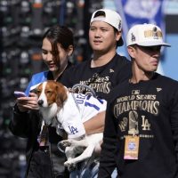 Serie Mundial promedió 12,9 millones de televidentes en Japón con Ohtani y Yamamoto