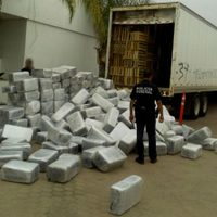 Aseguran más de cuatro toneladas de mariguana en Baja California