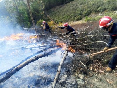 La gobernación de Santa Cruz, en Bolivia, declaró la emergencia