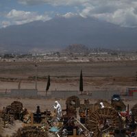 Perros pitbull matan a niño de siete años en Chalco