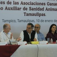 Tamaulipas refuerza acciones contra el gusano barrenador; no se cerrará comercialización del ganado: