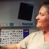 Organización que rescata animales silvestres busca ayuda para que pueda seguir funcionando