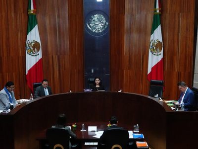 Tribunal ordena al INE resolver si madres de hijos con discapacidad pueden votar electrónicamente