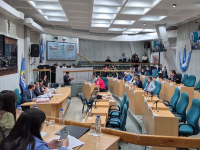Santa Cruz aprobó la Emergencia Comercial para proteger a las PYMES y el empleo
