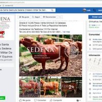 La Sedena llama a denunciar página apócrifa en Facebook