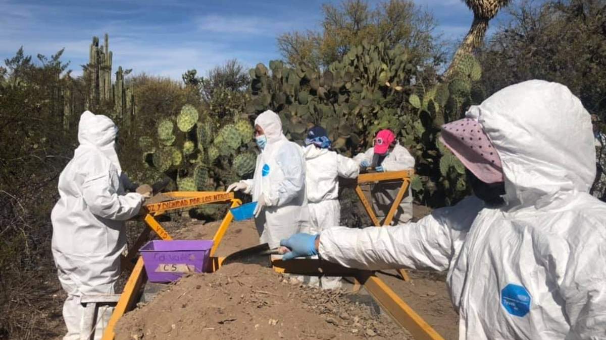 Integrantes del colectivo Voz y Dignidad de San Luis Potosí continúa buscando a desaparecidos pese a que les cortaron los recursos