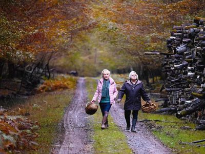 Tour Francés: “Cuando llega el otoño”