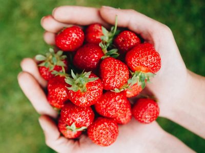 Curiosidades sobre las frutillas que muy pocos conocen