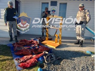 Encontraron a dos cazadores furtivos en Junín de los Andes