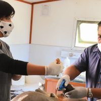 El quirófano móvil de mascotas programa las recorridas en Zapala