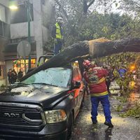 Árbol cae sobre una patrulla y causa daños en instalaciones de la SSC en la Cuauhtémoc (Videos)