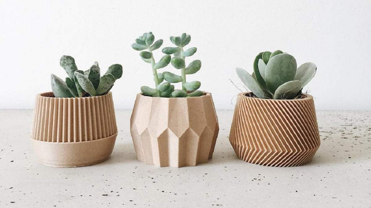 Plantas. Fuente: (CNN Underscored)