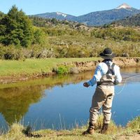 Incautan 31 truchas por pesca indiscriminada en Junín de los Andes