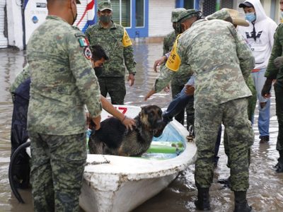 Consejo Técnico del IMSS se solidariza con habitantes de Tula y lamenta decesos