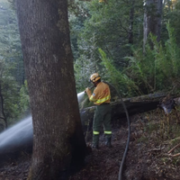 Demoraron a dos narcotraficantes que iniciaron dos incendios en el Parque Nacional Lanín