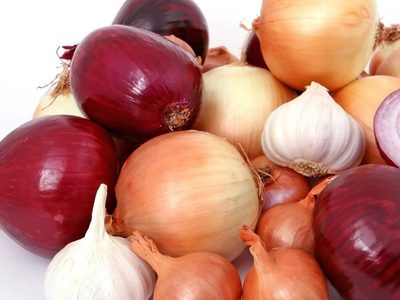 Nunca más tires las cáscaras de ajo y cebolla: así podés aprovecharlas para darles un shock de vitalidad a tus plantas