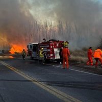 La municipalidad aplicará fuertes multas a los responsables del incendio intencional en la ciudad