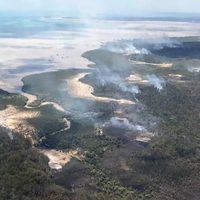 Devastador: incendios forestales consumen la mitad de una isla protegida por la UNESCO (videos)