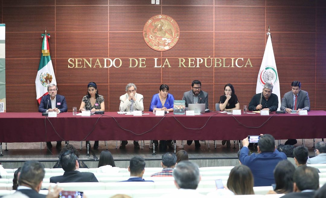 04 Desplazamiento Senado