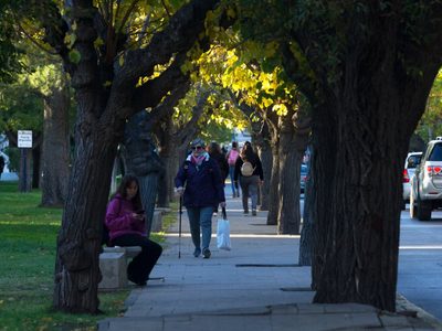 Clima en Neuquén: leve ascenso de la temperatura en el valle pero se sentirá el viento