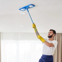 Cuál es la mejor manera de limpiar las telarañas y evitar que vuelvan a aparecer