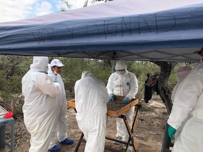 Desde mayo, 26 fosas clandestinas han sido halladas en SLP; las víctimas serían centroamericanos