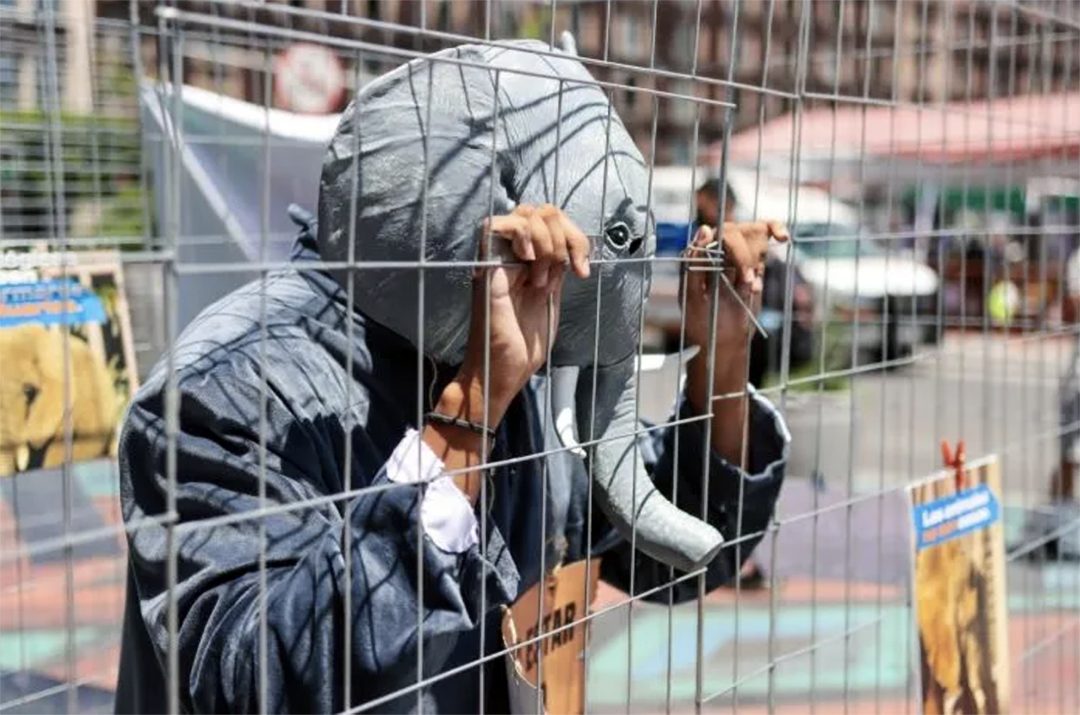 04-protesta Ely