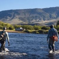 Ya están disponibles los permisos para la nueva temporada de pesca en Neuquén