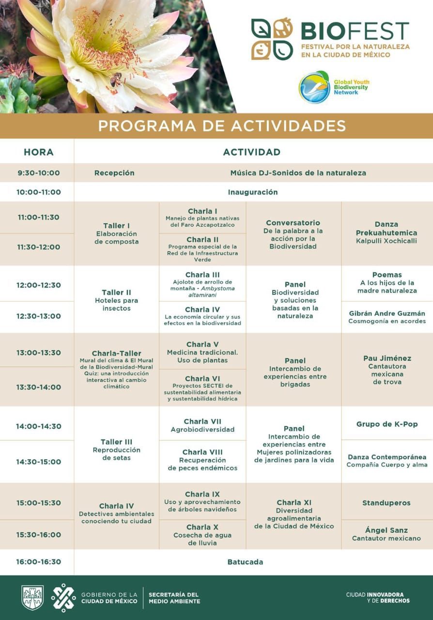 actividades