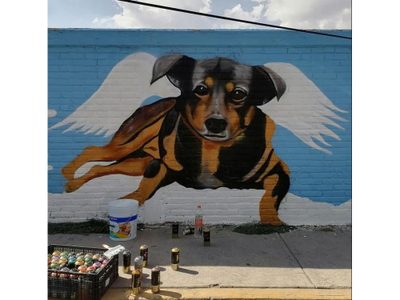 Inmortalizan en mural a “Scooby”, perro aventado a un cazo con aceite hirviendo