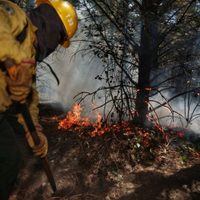 Trabajan en la construcción de una cisterna de 26 mil litros como parte de la lucha contra incendios forestales