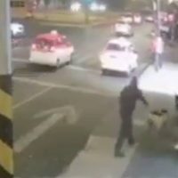 Un hombre mata de un balazo a un perro que le ladró (Video)