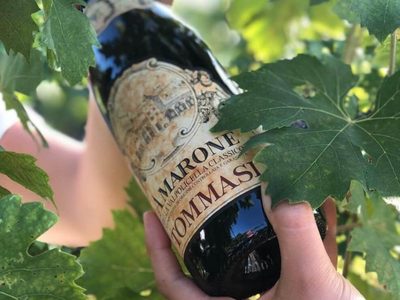 El vino italiano que perdura en la región de Verona