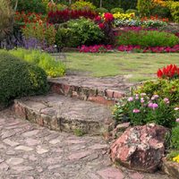 Plantas de sol perfectas para colocar en macetas en la entrada de tu casa o patio exterior