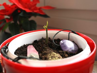 Con semillas de tu cocina, hacé este ritual para atraer estabilidad y aprovechar la energía del Eclipse Lunar
